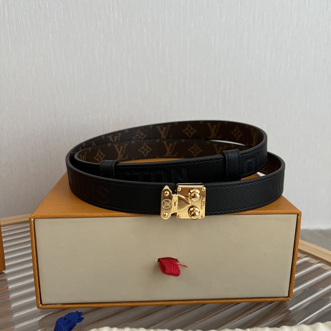 Louis Vuitton LV Women's Custom Canvas and Calfskin Belt