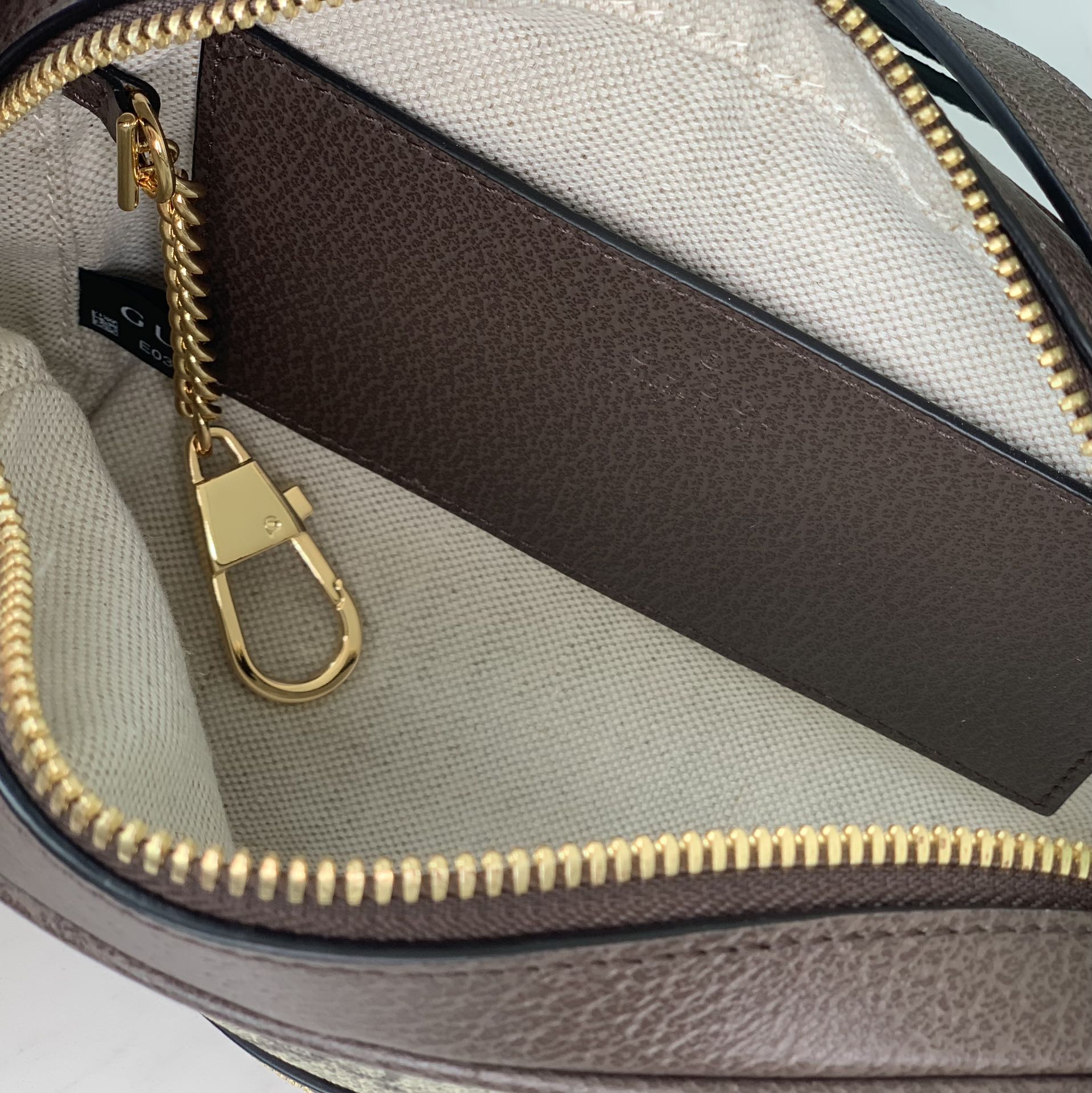 Gucci Ophidia Crossbody Bag 772311 in Beige and Ebony