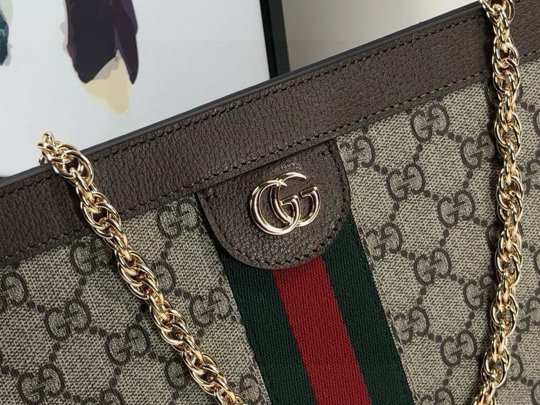 Gucci Ophidia Shoulder Bag in Classic Monogram with Floral Stripe Details 503876