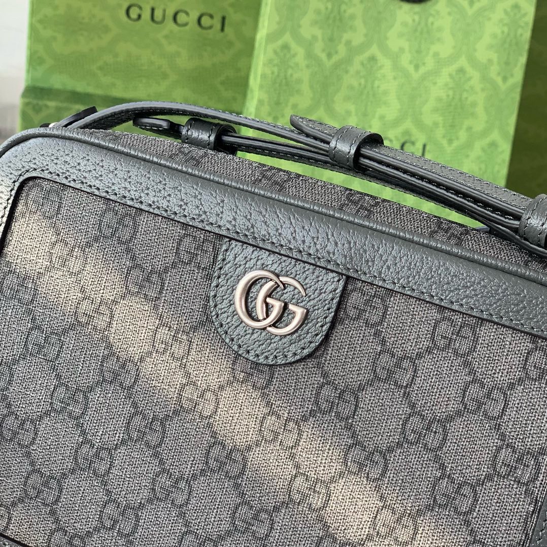 Gucci Ophidia Shoulder Bag 739392 Gray