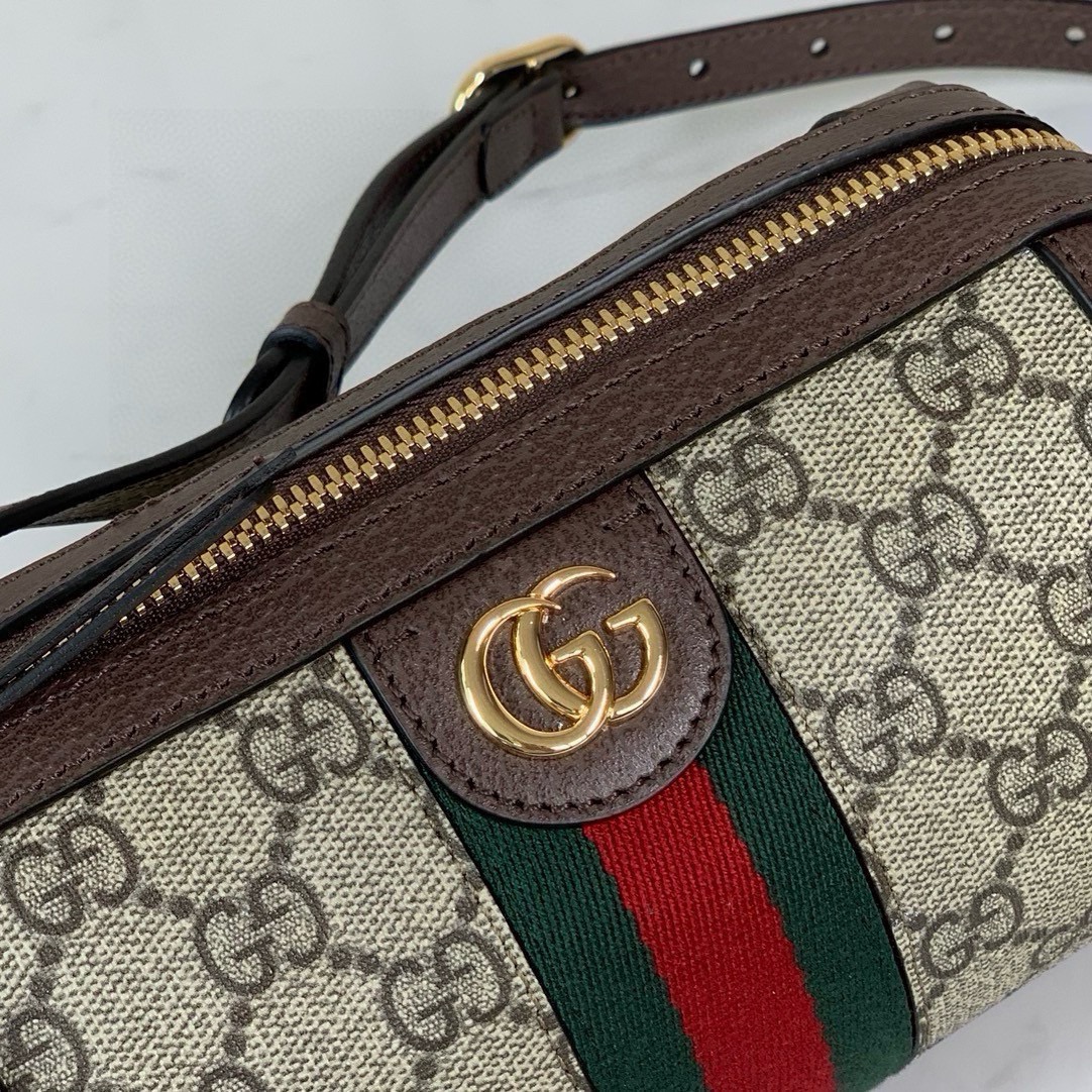 Gucci Ophidia Mini Shoulder Bag 795208