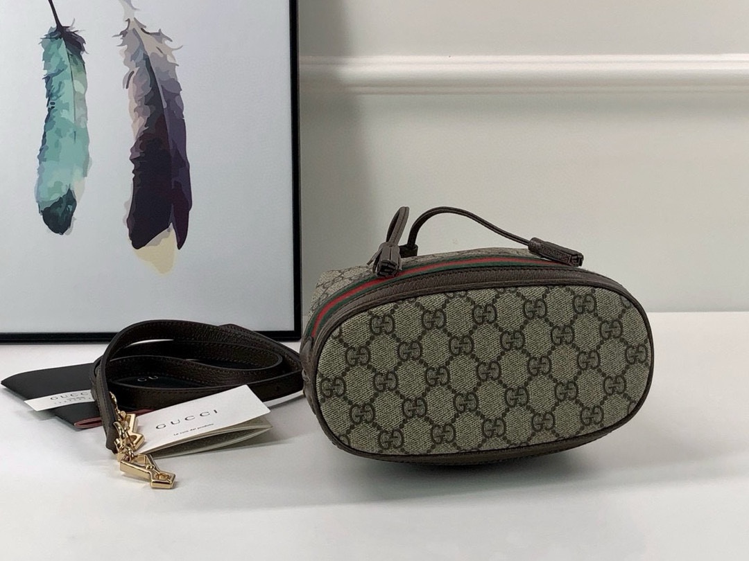 Gucci Ophidia Bucket Bag 550621