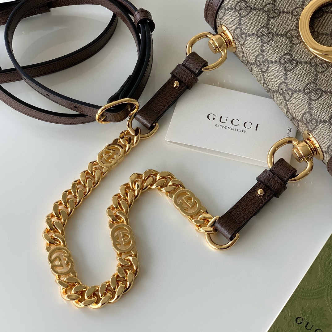 Gucci GG Blondie Mini Shoulder Bag 724645 (Beige and Dark Wood)