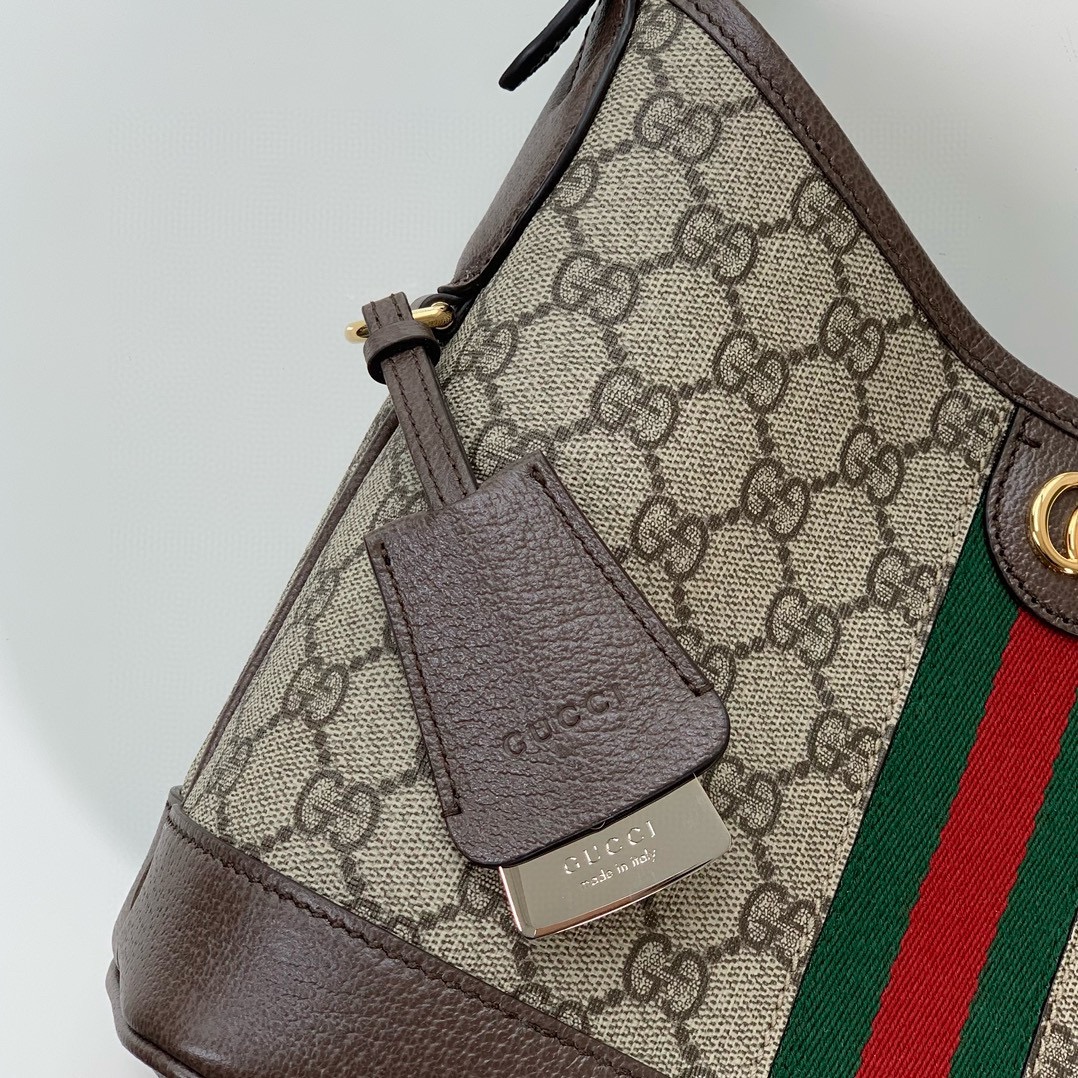 Gucci Ophidia GG Small Shoulder Bag 781402 (Beige and Dark Brown)