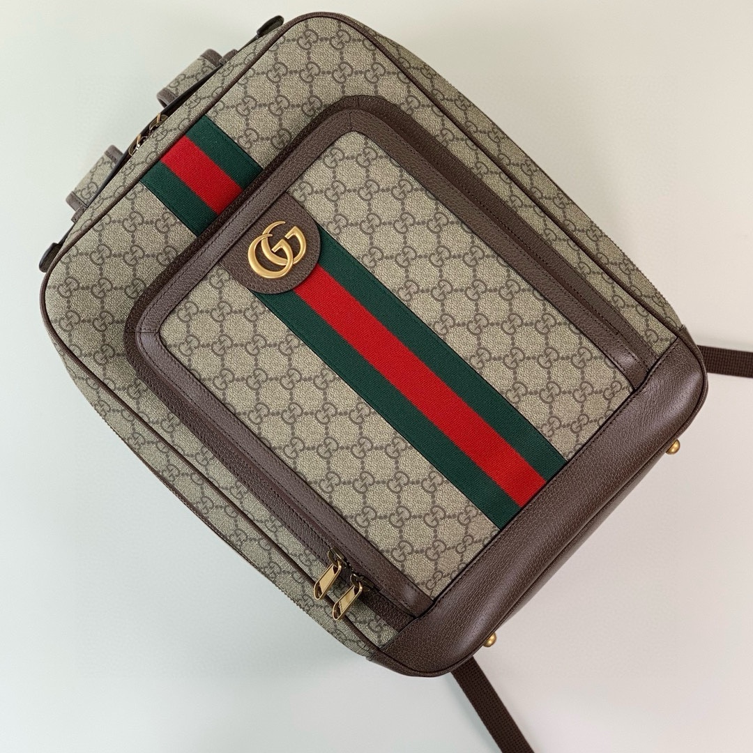 Gucci Ophidia Medium GG Backpack 745718