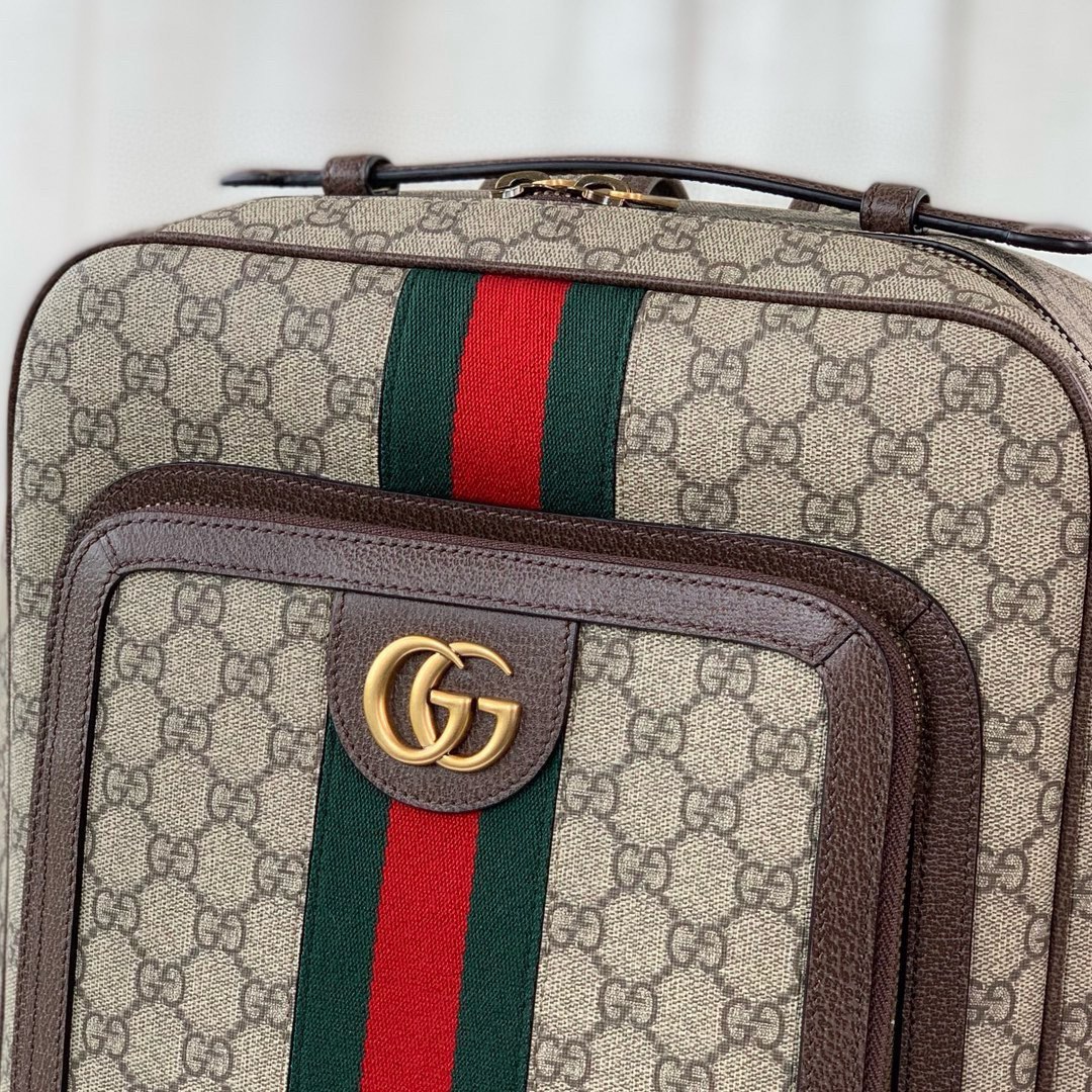 Gucci Ophidia Medium GG Backpack 745718