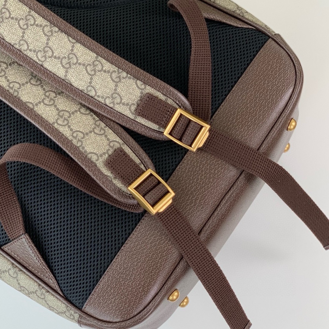 Gucci Ophidia Medium GG Backpack 745718