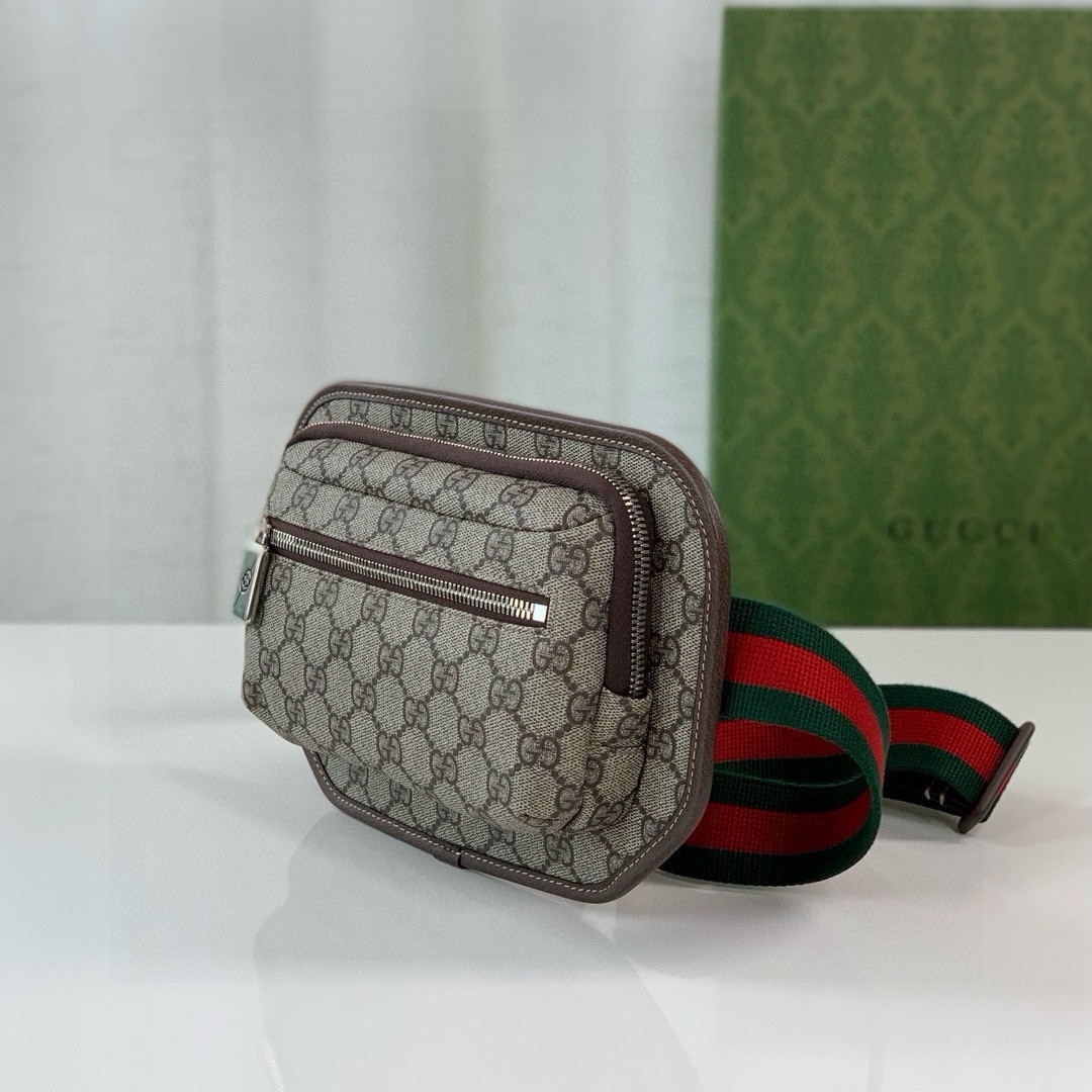 Gucci New GG Waist Bag 760217