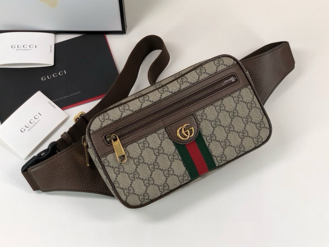 Gucci Ophidia Waist Bag 574796