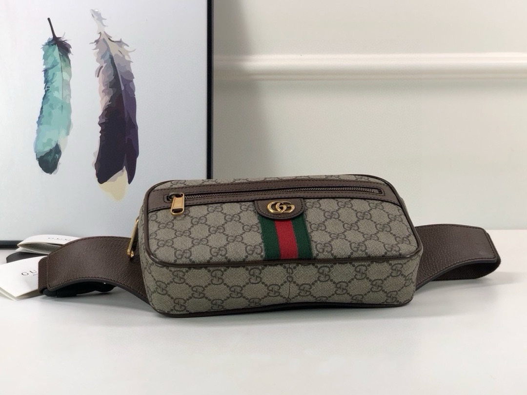 Gucci Ophidia Waist Bag 574796