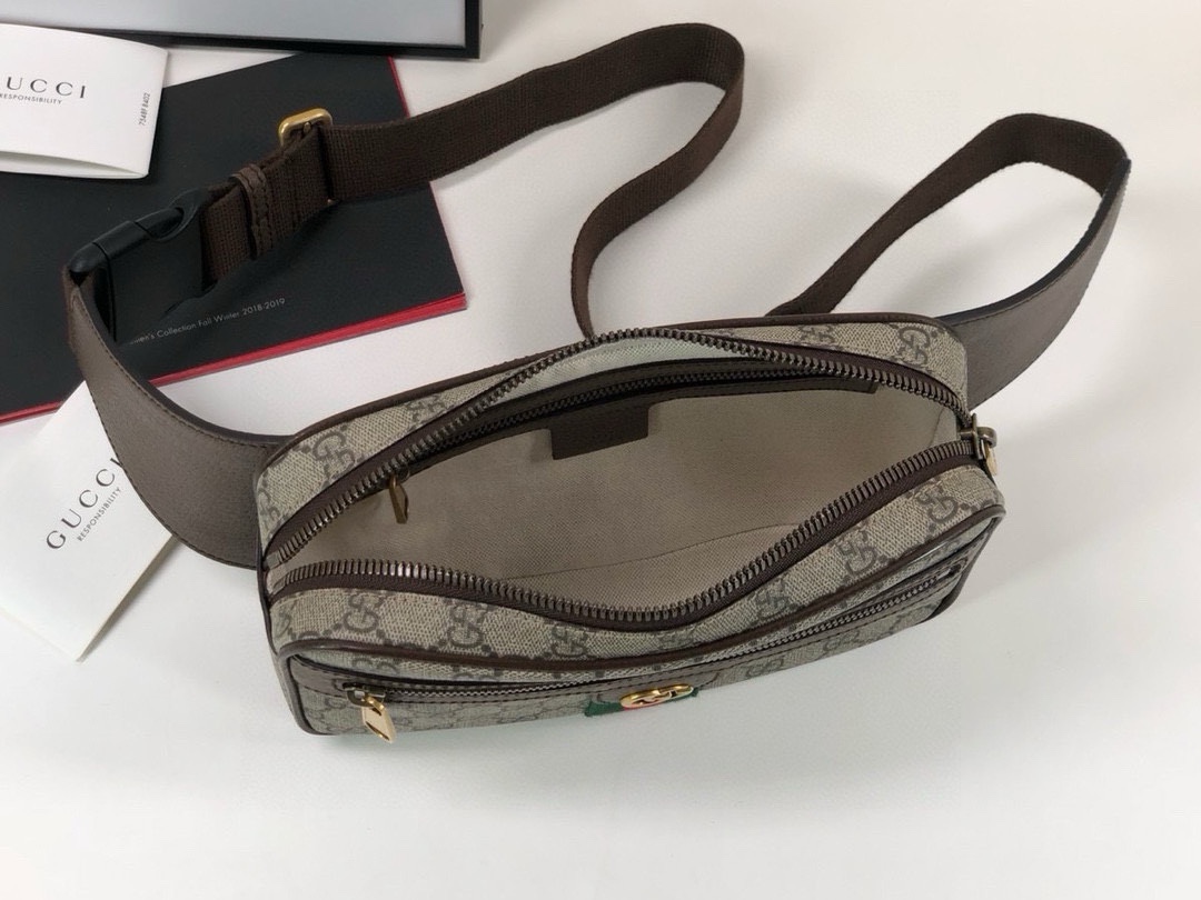 Gucci Ophidia Waist Bag 574796