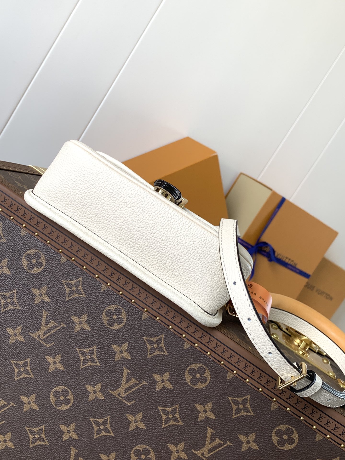 Variable Code Chip LV M83566 m white  Nano Diane Handbag. Monogram Empreinte leather. Flap, magnetic buckle open and close