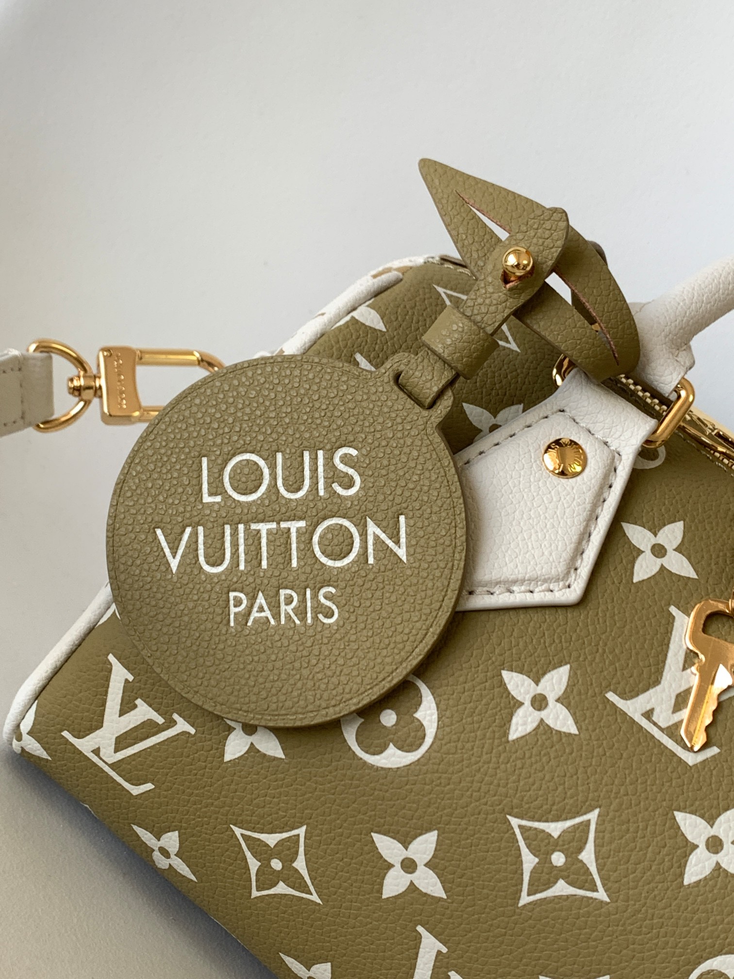 Louis Vuitton LV Speedy Pillow Bag Bandouli??re 20 ?C Green & White