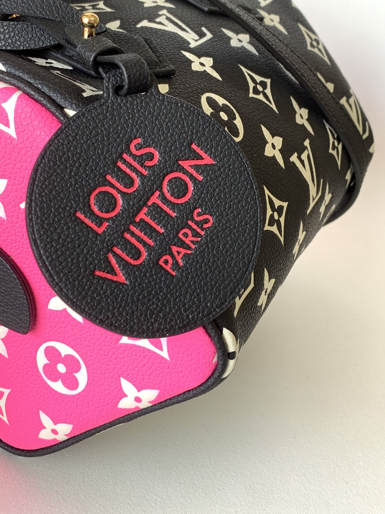 Louis Vuitton LV Speedy Pillow Bag Bandouli??re 20 ?C  Black & White