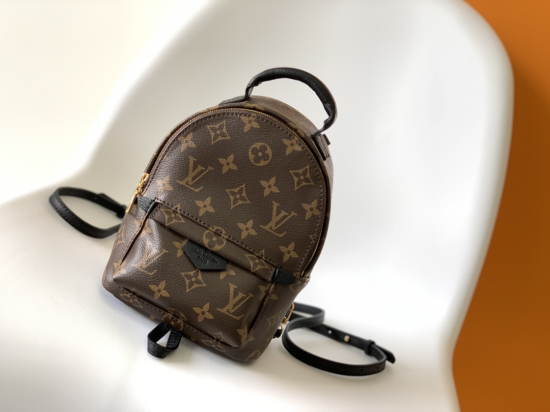 Louis Vuitton LV Monogram Backpack Mini M44873