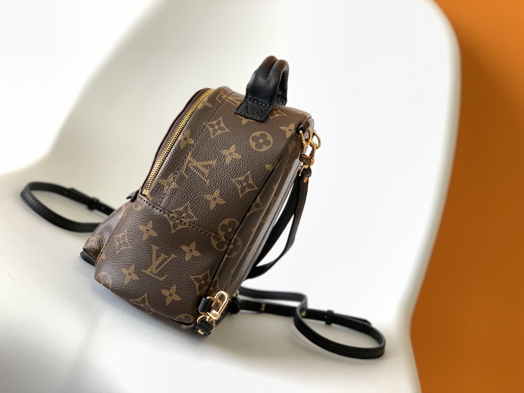 Louis Vuitton LV Monogram Backpack Mini M44873