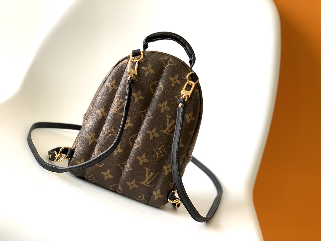 Louis Vuitton LV Monogram Backpack Mini M44873