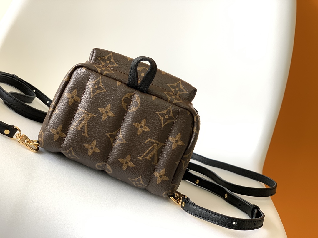 Louis Vuitton LV Monogram Backpack Mini M44873