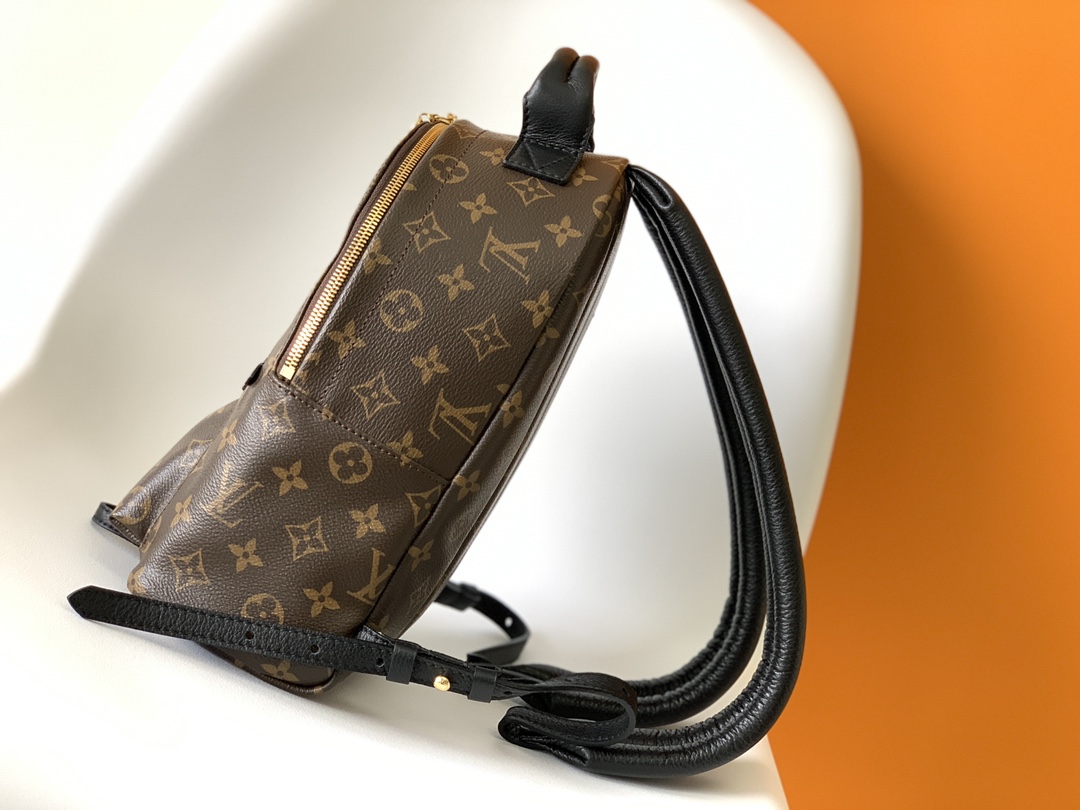 Louis Vuitton LV Monogram Reverse Backpack M44871