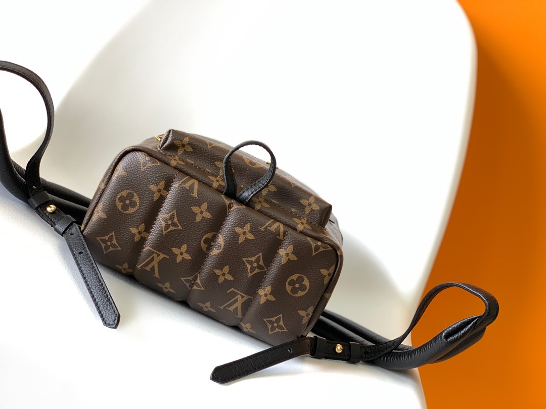 Louis Vuitton LV Monogram Reverse Backpack M44871