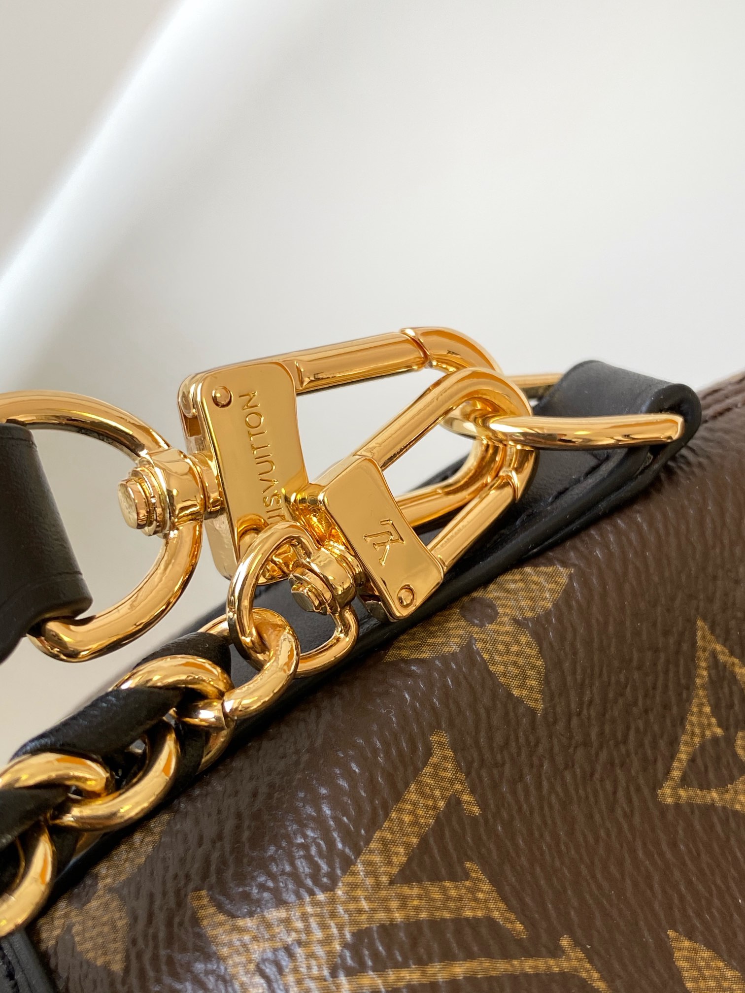 Louis Vuitton LV Cano?? Handbag M83480