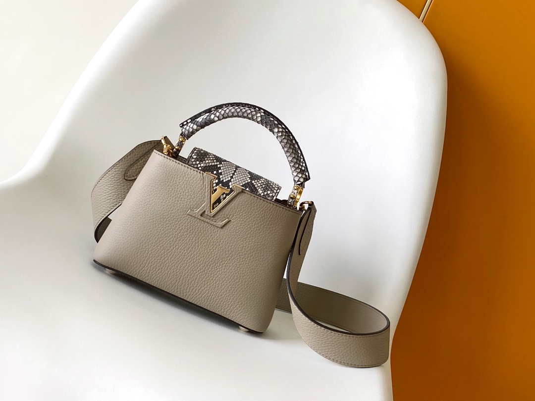 Louis Vuitton LV N81258 Capucines Handbag in Gray Python Leather with Gold Hardware