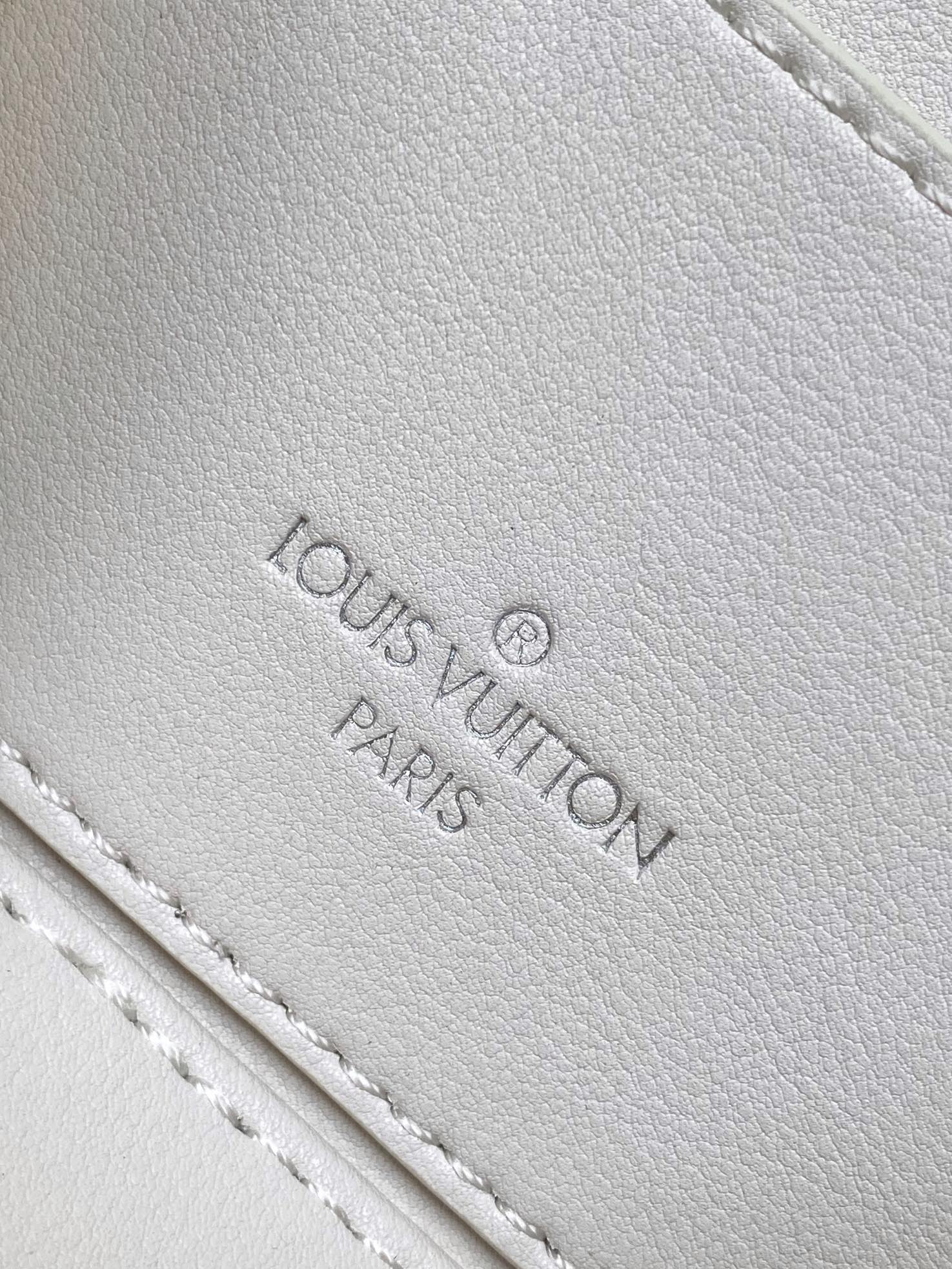 Louis Vuitton LV M25219 Vanity Small Handbag in White