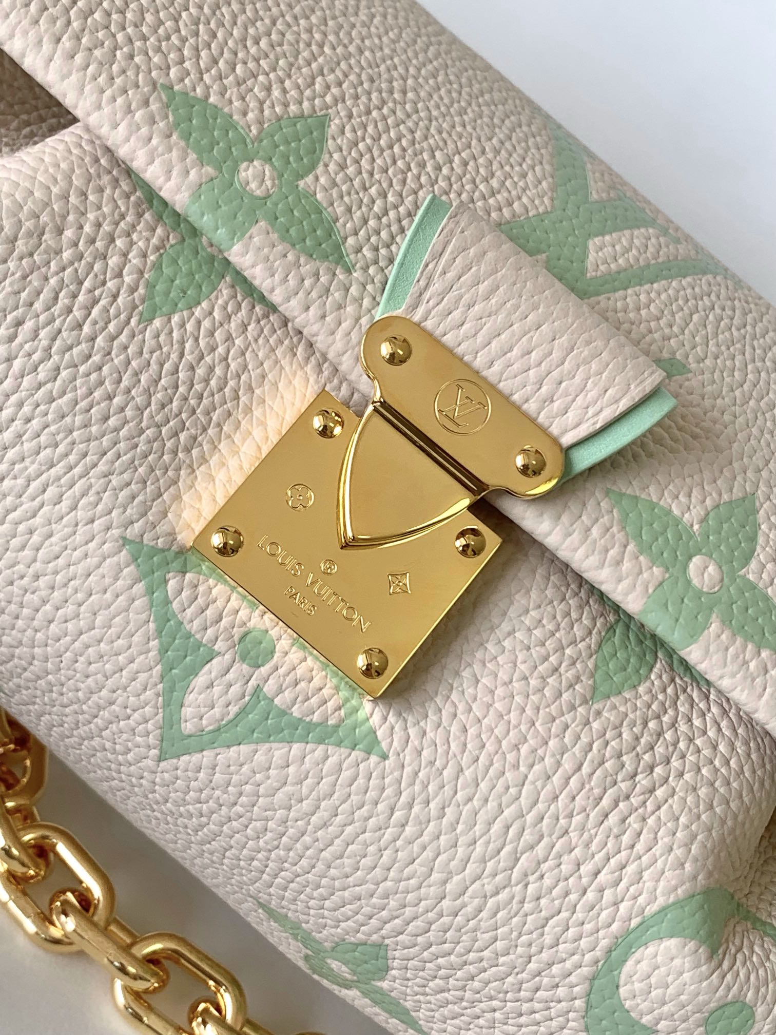 Dynamic Chip Louis Vuitton LV  M46842 White and Green FAVORITE Handbag