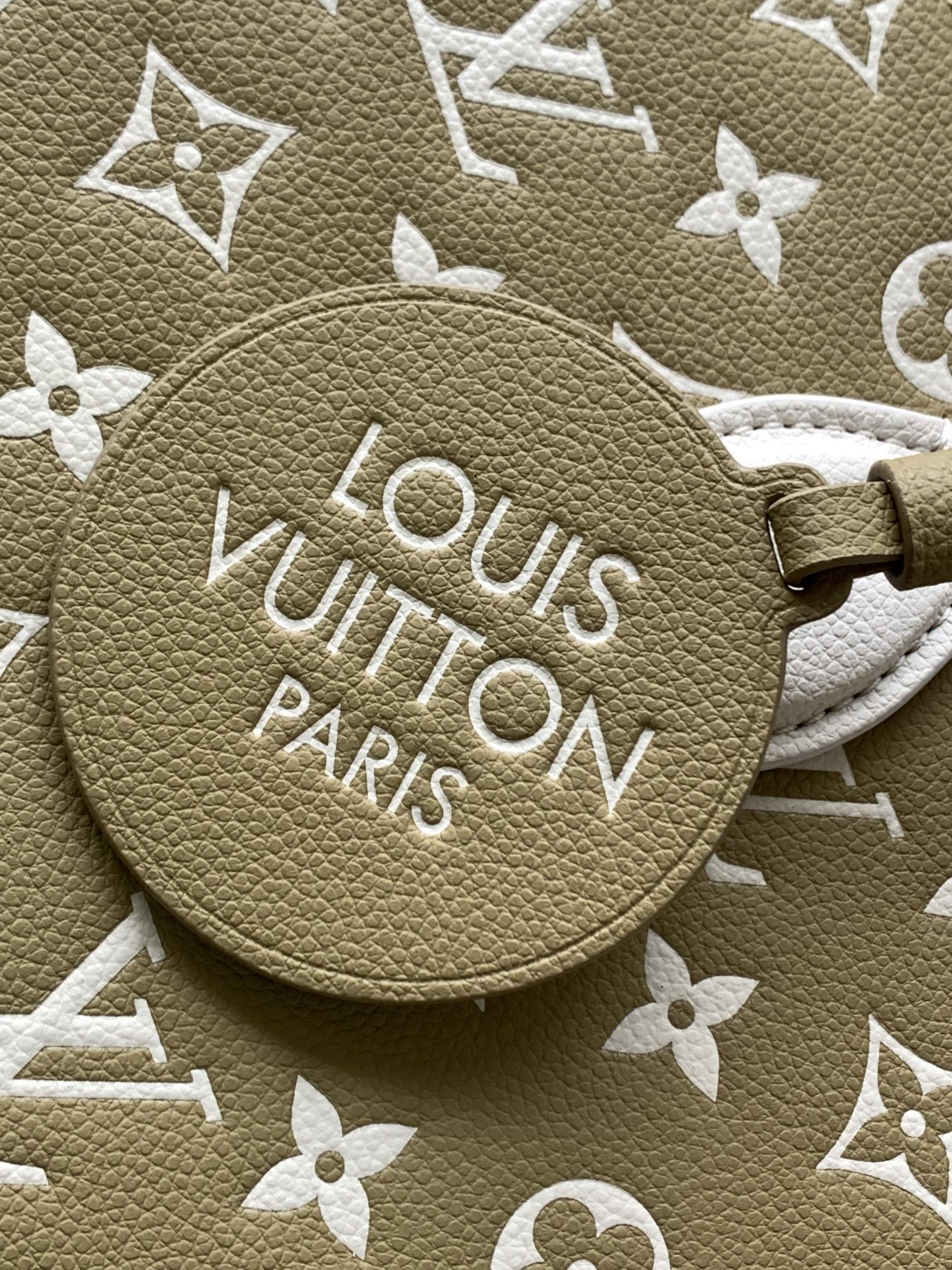 Louis Vuitton LV M46060 OnTheGo Handbag in Green and White