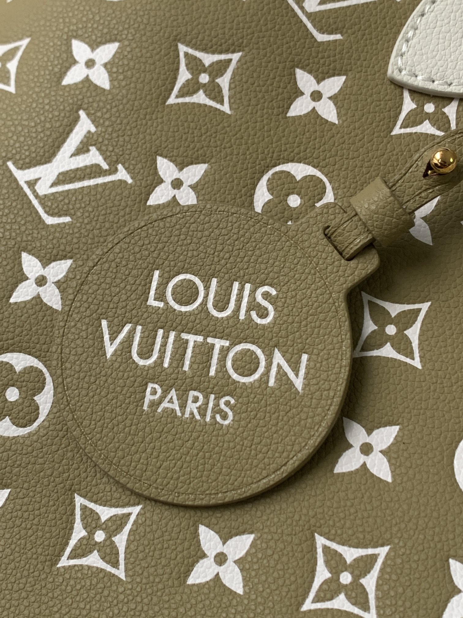 Louis Vuitton LV M46102 Neverfull MM Handbag in Green and Pink