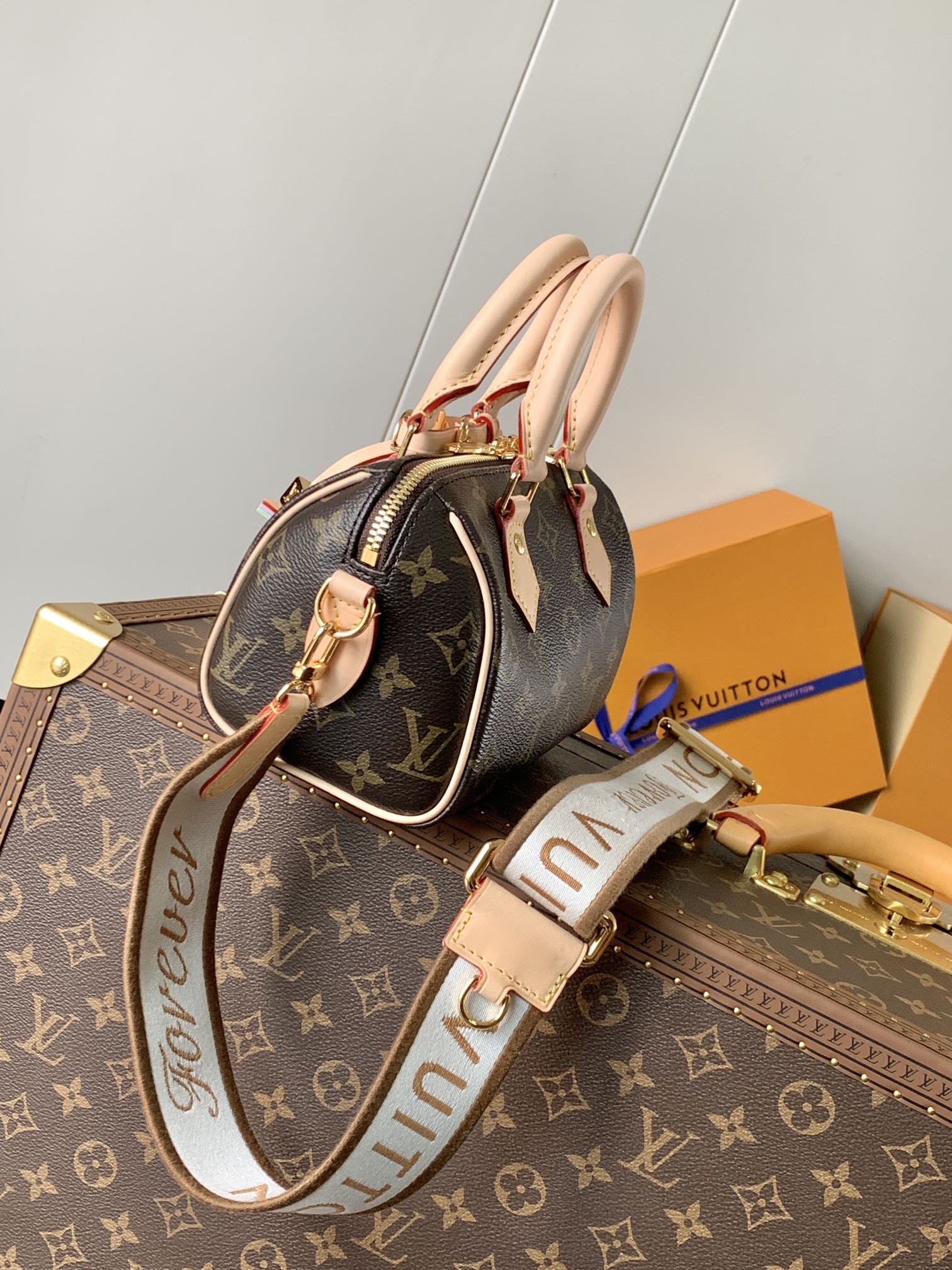 Louis Vuitton LV Speedy 18 Bag M46970 Monogram