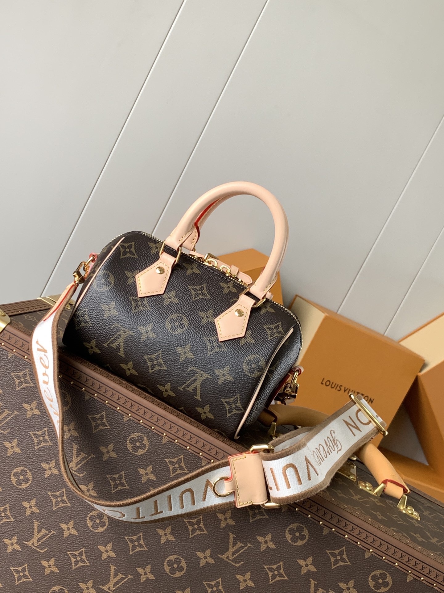 Louis Vuitton LV Speedy 18 Bag M46970 Monogram