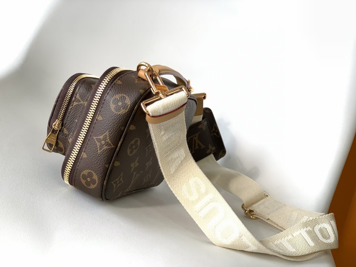 Louis Vuitton LV Monogram Camera Bag - M80446