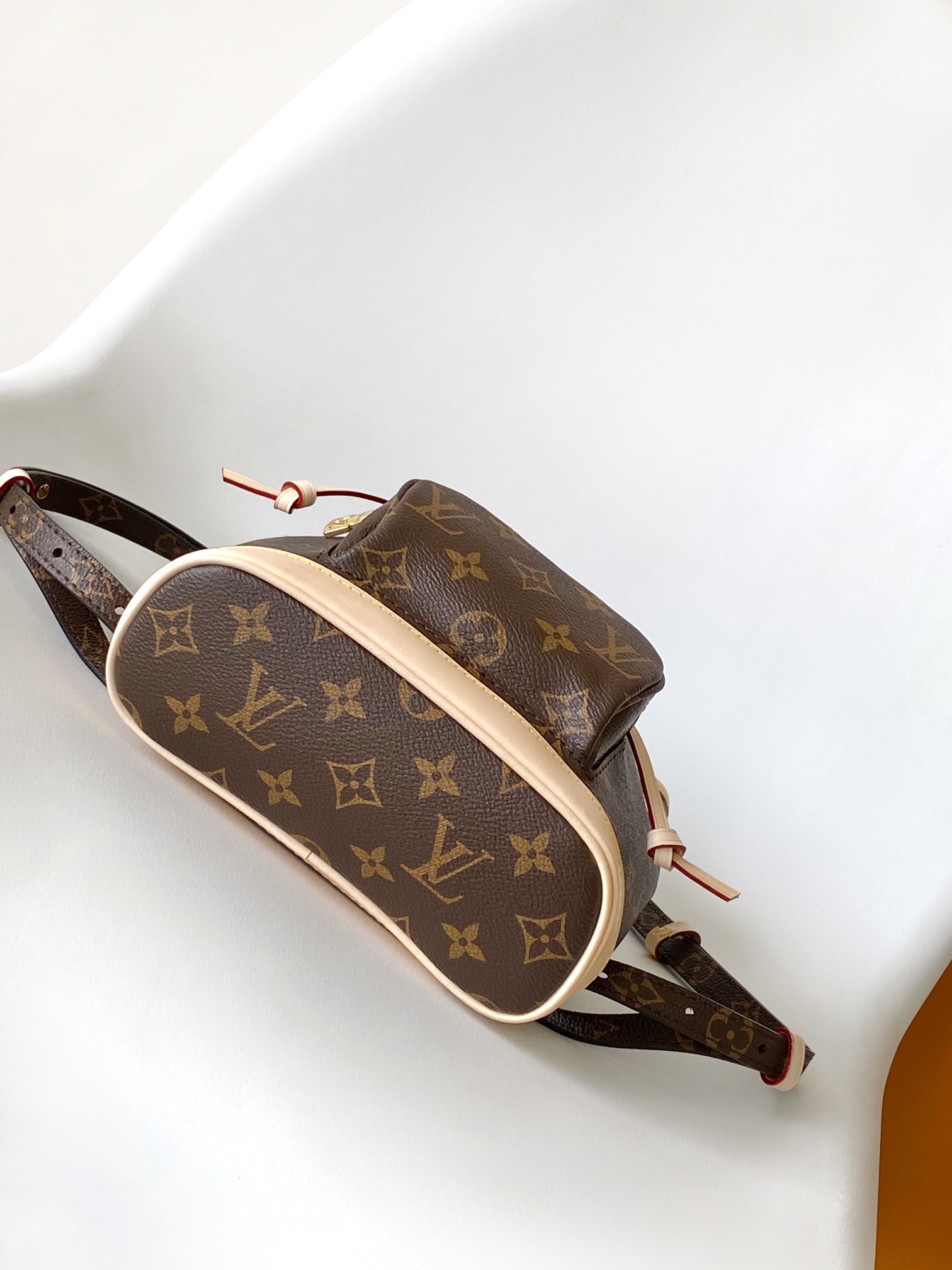 Louis Vuitton LV Montsouris Mini Backpack - Monogram Coated Canvas (Model M11199)