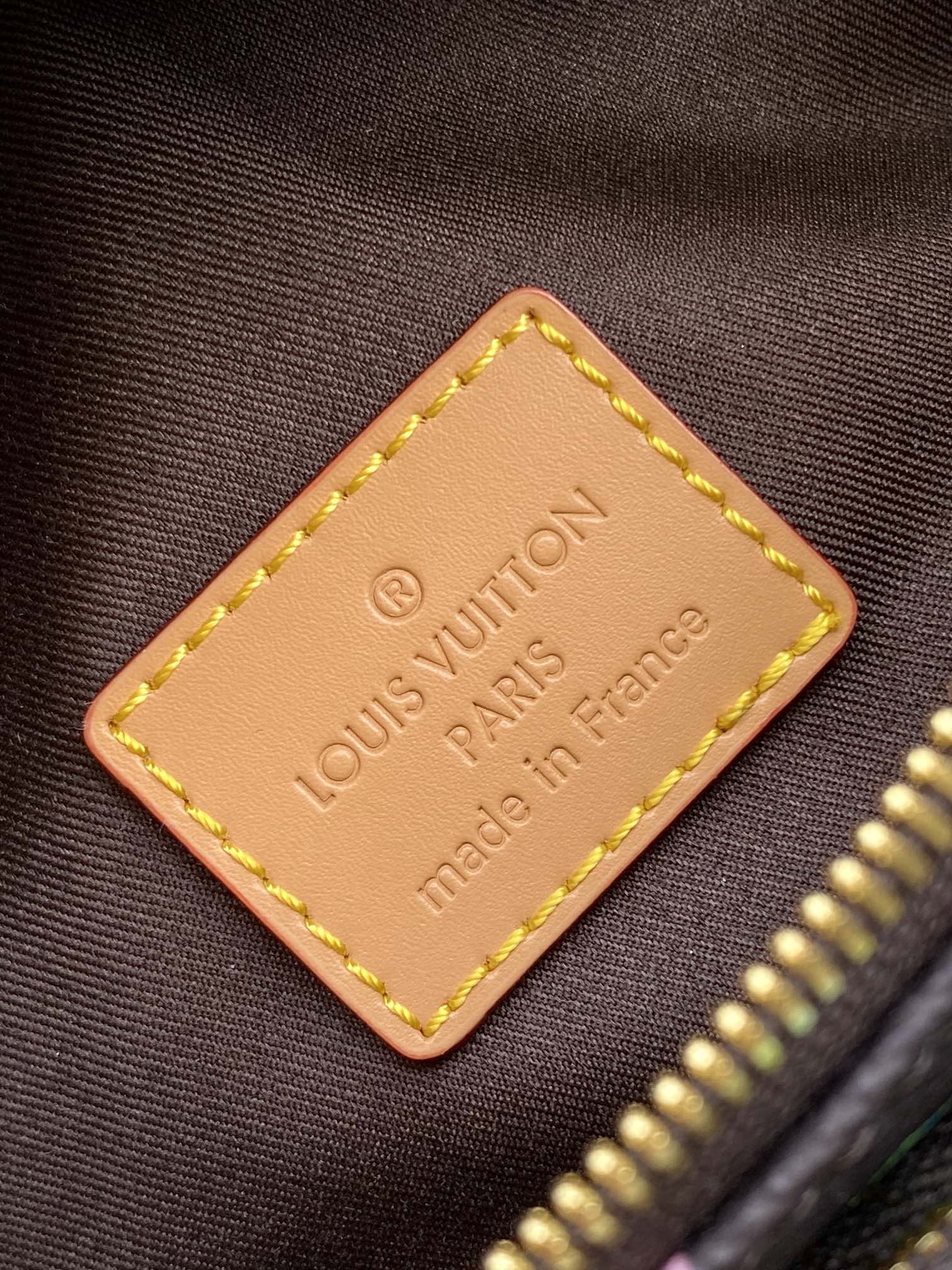 Louis Vuitton LV Rush Waist Bag - Model M24858